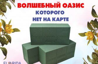 Оптимальне використання води у флористичній губці: Чи потрібно додавати?