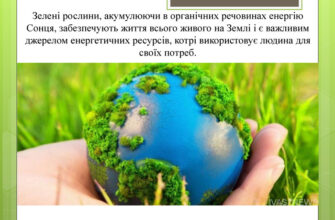 Роль рослин у житті людини: важливість та користь для здоров’я