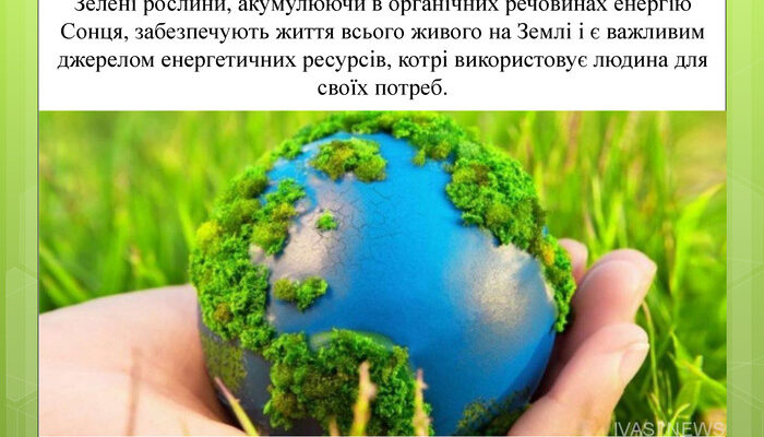 Роль рослин у житті людини: важливість та користь для здоров’я