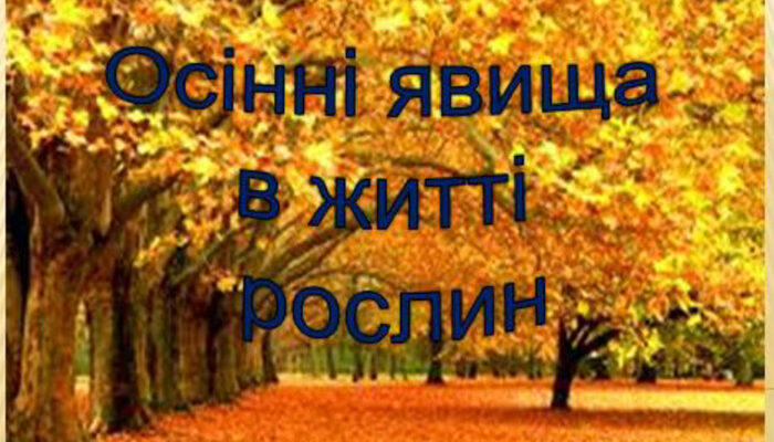 Зміни дерев, чагарників і трав восени: особливості та прикмети сезону