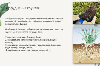 Руйнування ґрунтів: ключові чинники та їхній вплив на екосистеми