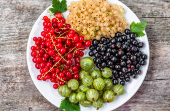 Як правильно вживати червону смородину для максимального смаку та користі