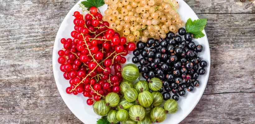 Як правильно вживати червону смородину для максимального смаку та користі