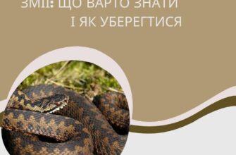 У якому місяці починається шлюбний період у змій: повний гід для зрозуміння