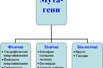 Застосування мутагенів у селекції: цілі та методи оптимізації процесів