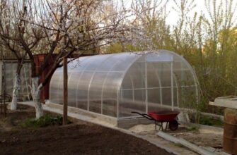 Ефективні засоби для обробки теплиці від грибка: поради та рекомендації