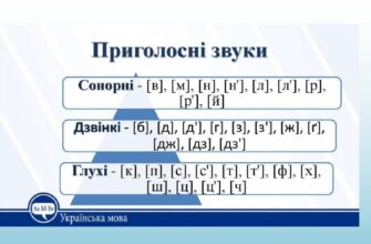 Як робити фонетичний розбір слова: простий та зрозумілий гайд