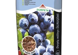 Найкраща фракція торфу для лохини: оберіть оптимальний варіант