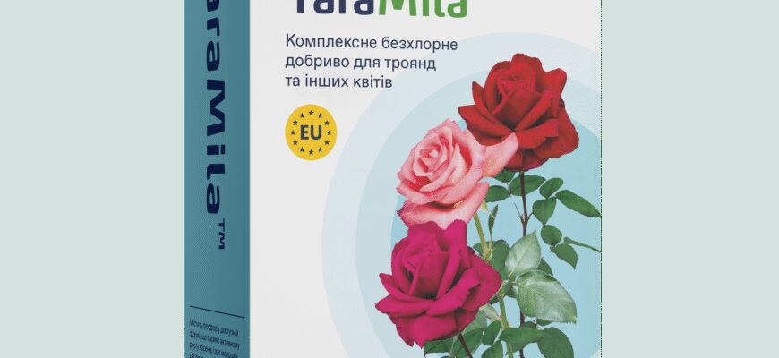 Чи варто удобрювати троянди при посадці: поради та рекомендації