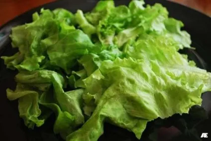 Чому важливо рвати листя салату руками: користь і поради для збереження свіжості