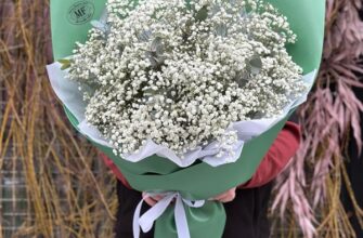 Як правильно сушити квіти лаванди: поради та методи для початківців