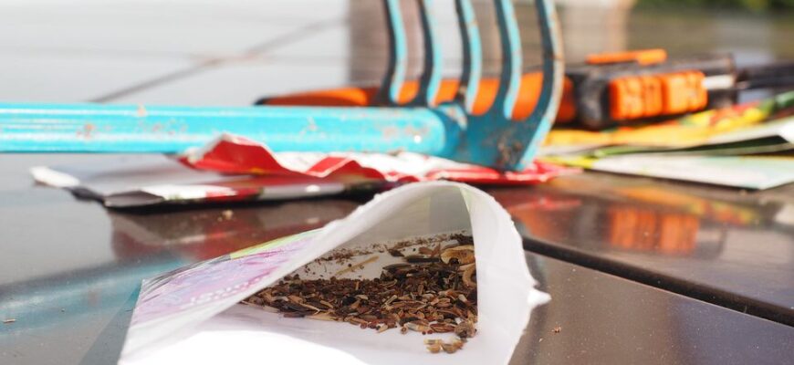 Чи варто зберігати насіння в холодильнику: поради та рекомендації