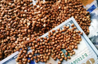 Чому японці уникають гречки: особливості японської кухні та культури