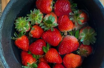 Як правильно вимочувати полуницю: поради для збереження аромату і смаку