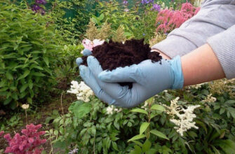 Як самостійно підготувати розчин для підкислення ґрунту: покрокова інструкція