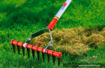 Як ефективно відновити газон після засилля бур’янів: покрокова інструкція