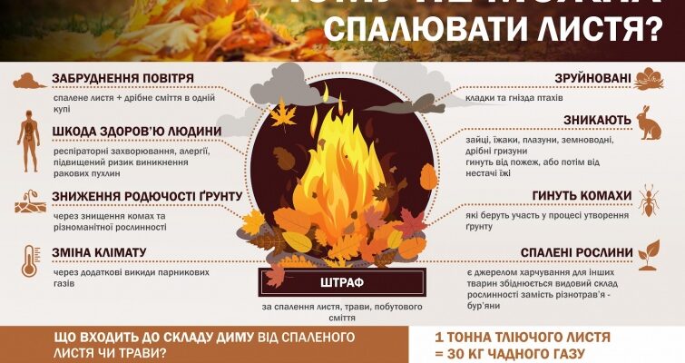 Як ефективно використовувати опале листя восени: корисні поради