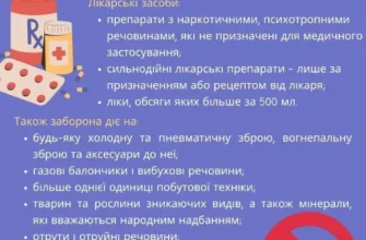 Заборонені предмети для перевезення: що не можна вивозити за кордон?