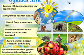 Літні природні явища: від спеки до грозових злив і цвітіння лугів