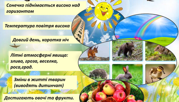 Літні природні явища: від спеки до грозових злив і цвітіння лугів