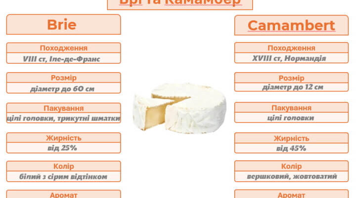 Скільки часу зберігається сир брі при кімнатній температурі: поради та терміни