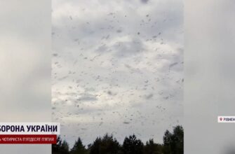 Коли закінчиться сезон мошок: оптимальні строки та поради