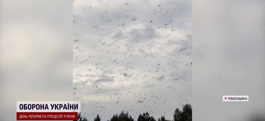 Коли закінчиться сезон мошок: оптимальні строки та поради