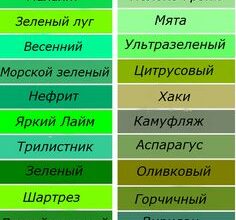 Всі відтінки зеленого кольору: які існують варіанти