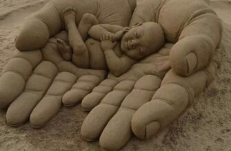 Що може прорости на піщаному ґрунті: рослини для бідних ґрунтів