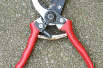 Альтернативні назви секатора: які ще існують варіанти?