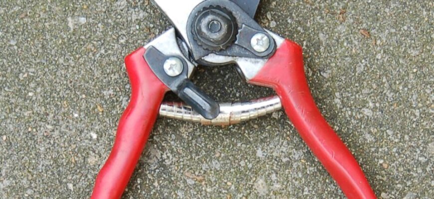 Альтернативні назви секатора: які ще існують варіанти?