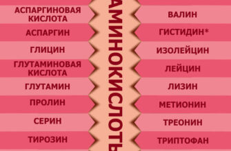 “Джерела амінокислот: де знайти необхідні для здоров’я речовини”