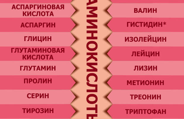 “Джерела амінокислот: де знайти необхідні для здоров’я речовини”