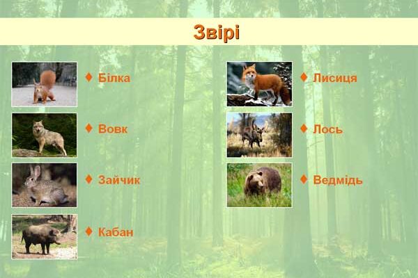 Дика фауна Підмосков’я: які тварини населяють місцеві ліси?