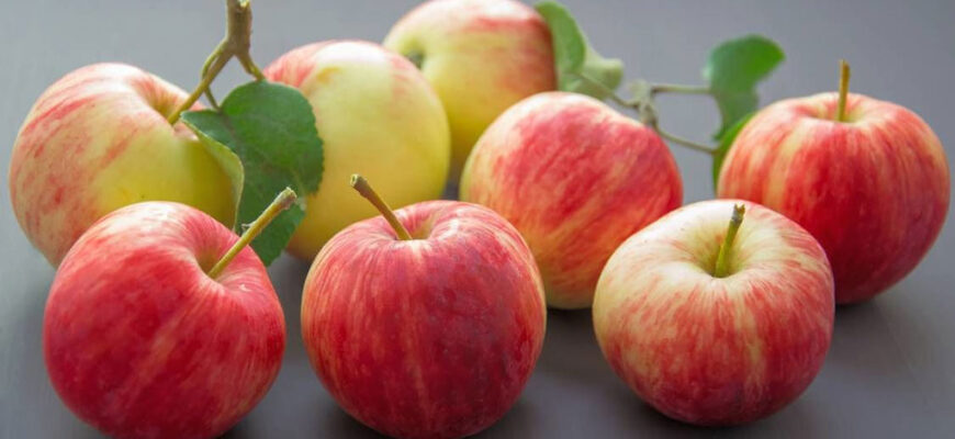 Оптимальні методи обробки яблук для тривалого зберігання вдома