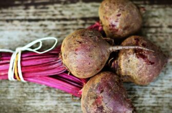 Що станеться, якщо не проріджувати буряки: наслідки для врожаю