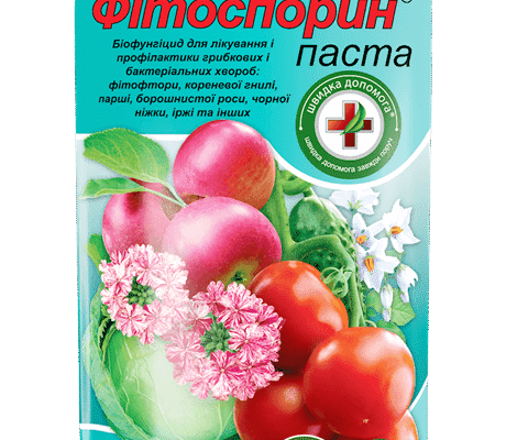 Застосування Фітоспорину: Найкращі Способи Використання для Рослин
