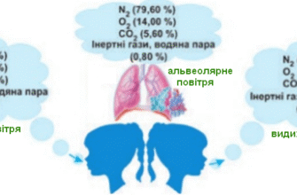Скільки CO2 людина видихає щодня: наукові факти та цифри