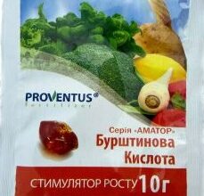 Оптимальне розведення бурштинової кислоти для успішного пророщування насіння