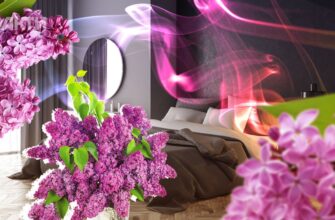 Чи безпечно спати в кімнаті з бузком: вплив на здоров’я та сон