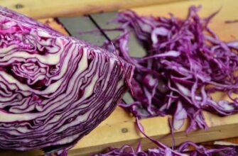 Для чого потрібна червонокачанна капуста: користь та застосування овоча