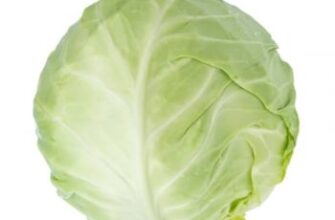 Актуальні ціни на капусту в “Пятерочці”: скільки доведеться заплатити?