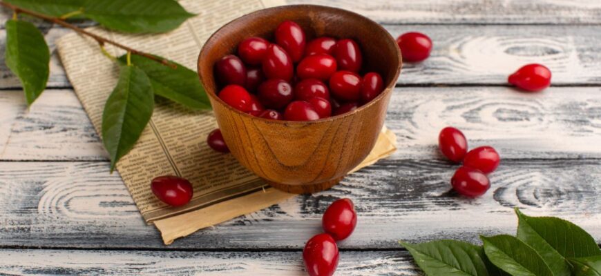 “Кизил: Які захворювання він може ефективно вилікувати?”