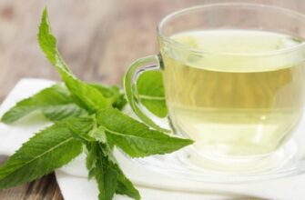 Ефективні способи зберігання листя м’яти для ароматного чаю