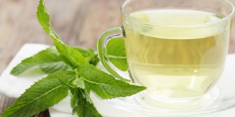Ефективні способи зберігання листя м’яти для ароматного чаю