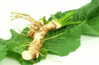 Корисні властивості хріну: покращення здоров’я та імунітету