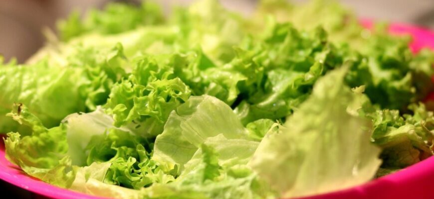 Чи варто мити салат з упаковки: розвінчання міфів та поради експертів