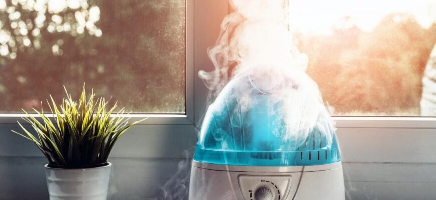 Як визначити необхідність зволожувача повітря для вашого дому