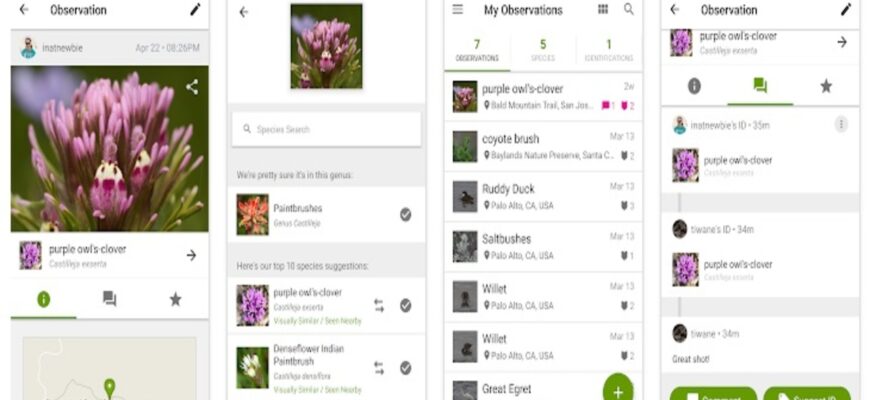 Розпізнавання квітки за фото безкоштовно: прості способи та поради