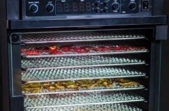 Як правильно організувати сушку тіла: поради та рекомендації експертів